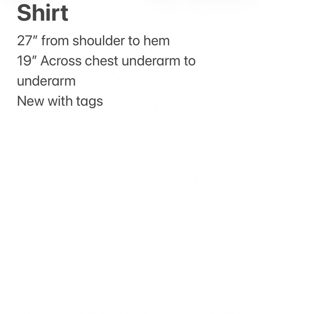 Everlane Mens Premium Heavyweight Tee Organic Cotton Apricot Peach S New - Picture 9 of 9